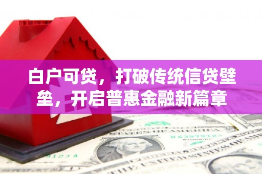 宁海白户可贷，打破传统信贷壁垒，开启普惠金融新篇章