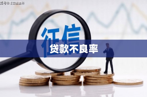 宁海贷款不良率