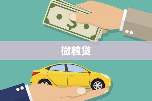 宁海微粒贷