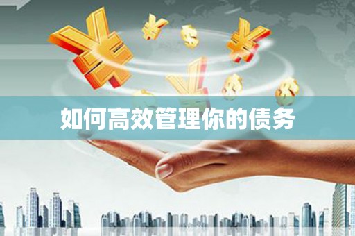 宁海如何高效管理你的债务