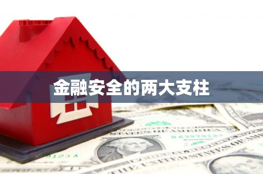 宁海金融安全的两大支柱
