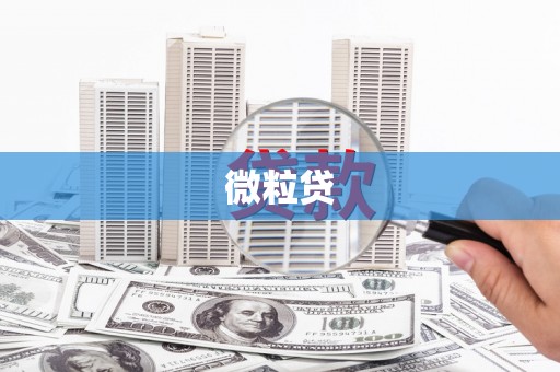 宁海微粒贷