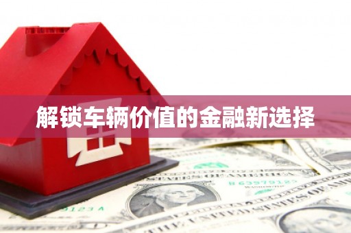 宁海解锁车辆价值的金融新选择