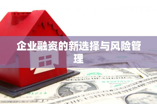 宁海企业融资的新选择与风险管理