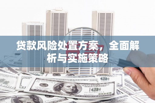 宁海贷款风险处置方案，全面解析与实施策略