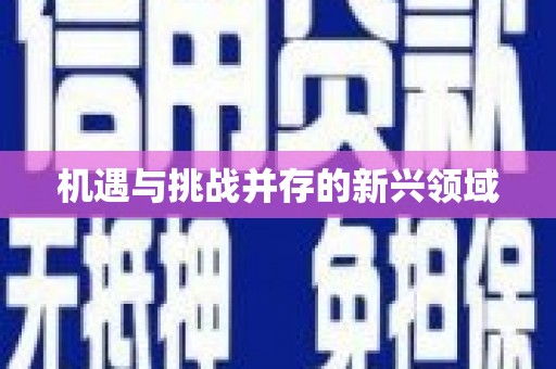 宁海机遇与挑战并存的新兴领域
