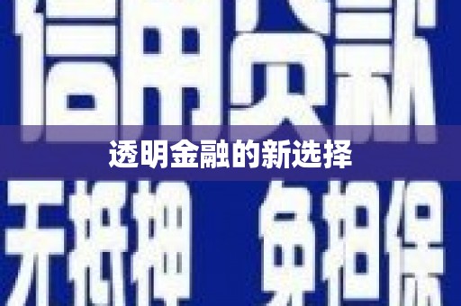宁海透明金融的新选择