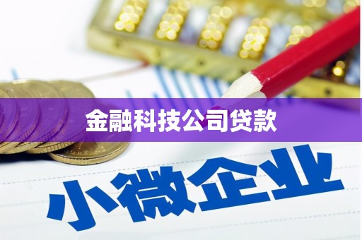 宁海金融科技公司贷款