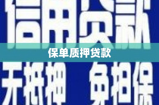 宁海保单质押贷款