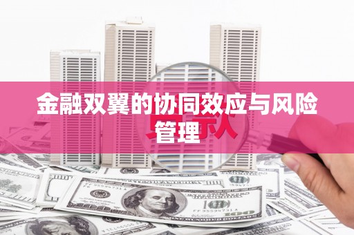 宁海金融双翼的协同效应与风险管理