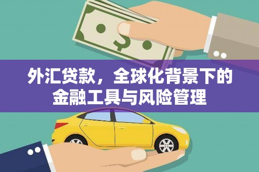 宁海外汇贷款，全球化背景下的金融工具与风险管理